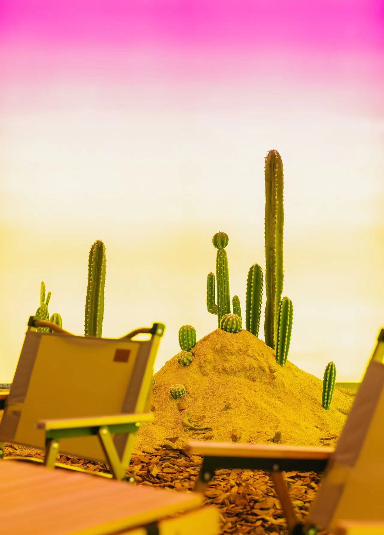 222222.jpg